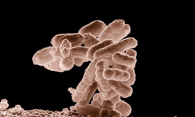 Mouth Bacteria Have Been Linked to Severe Forms of Inflammatory Bowel Disease