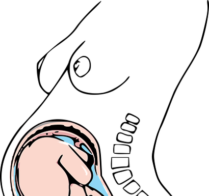 Diet for women to get pregnant with a girl or a boy