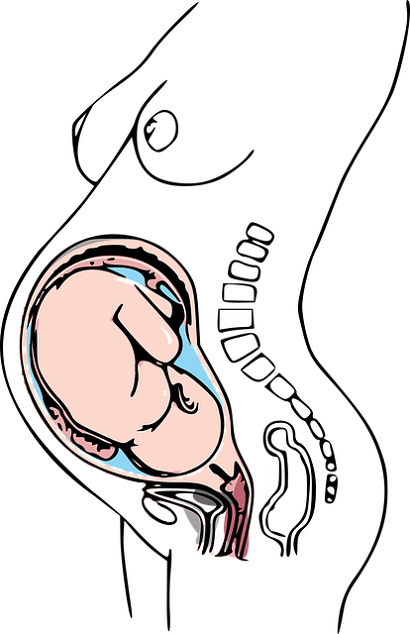 Diet for women to get pregnant with a girl or a boy